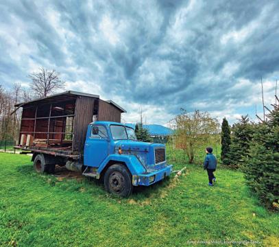 Junij - Armina Mrkalj